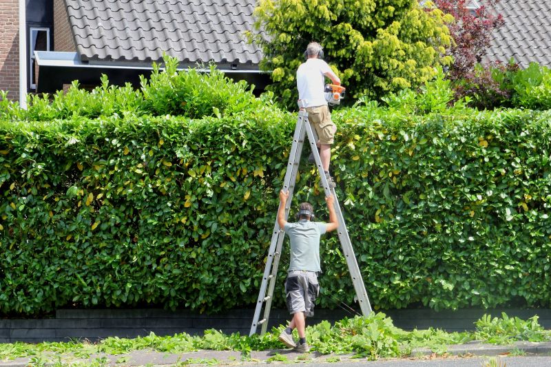 Hedge Cutting detail